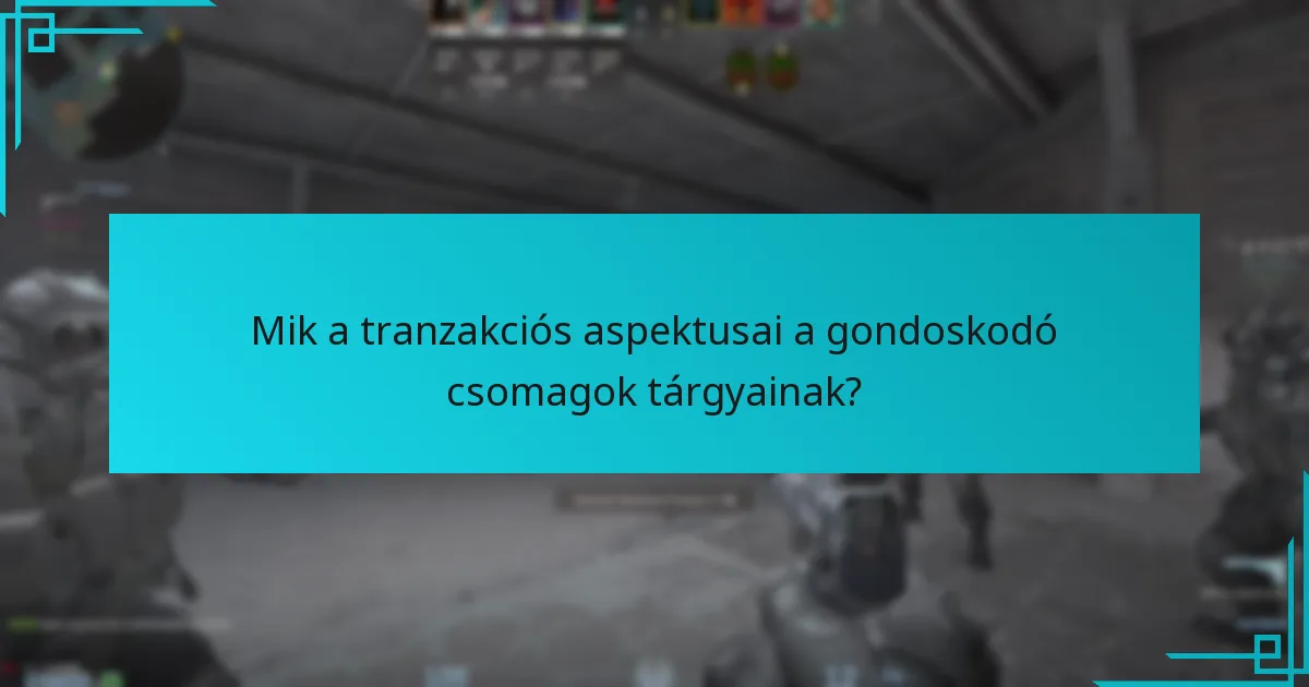 Mik a tranzakciós aspektusai a gondoskodó csomagok tárgyainak?