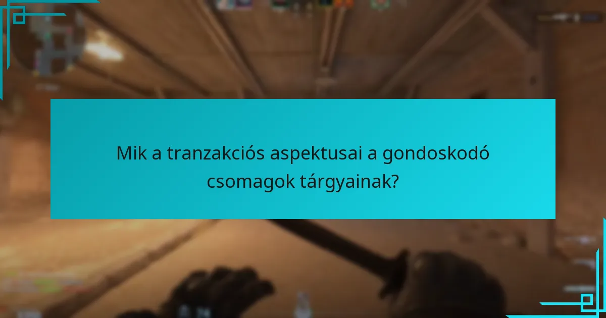 Mik a tranzakciós aspektusai a gondoskodó csomagok tárgyainak?